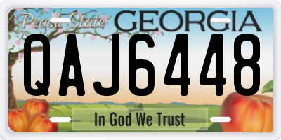 GA license plate QAJ6448