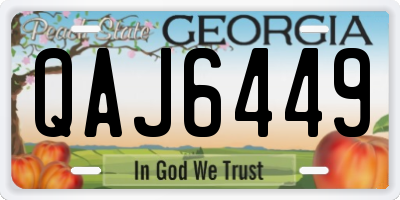 GA license plate QAJ6449
