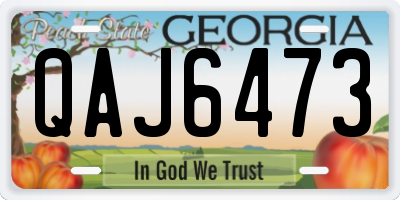 GA license plate QAJ6473