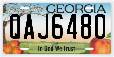 GA license plate QAJ6480