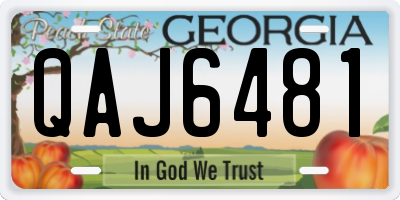 GA license plate QAJ6481
