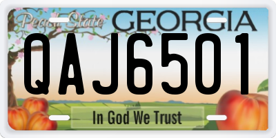 GA license plate QAJ6501