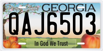 GA license plate QAJ6503