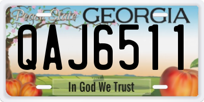 GA license plate QAJ6511