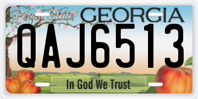 GA license plate QAJ6513