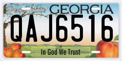 GA license plate QAJ6516