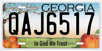 GA license plate QAJ6517