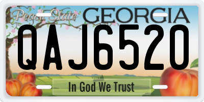 GA license plate QAJ6520