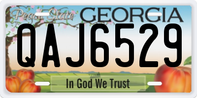 GA license plate QAJ6529