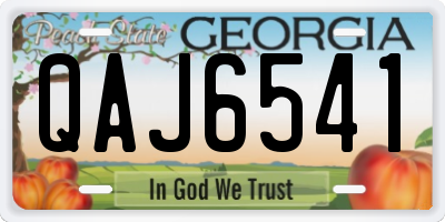 GA license plate QAJ6541