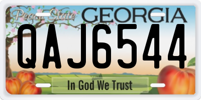 GA license plate QAJ6544