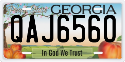 GA license plate QAJ6560