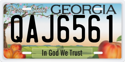 GA license plate QAJ6561