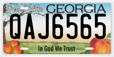GA license plate QAJ6565