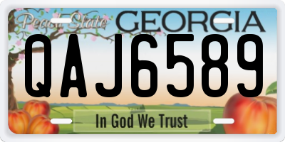 GA license plate QAJ6589