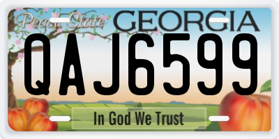 GA license plate QAJ6599