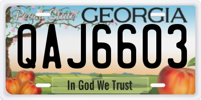 GA license plate QAJ6603