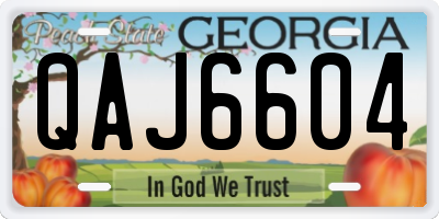 GA license plate QAJ6604
