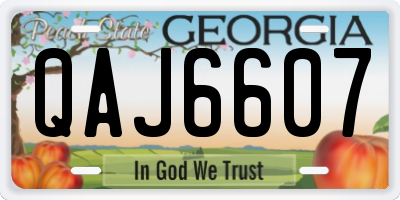 GA license plate QAJ6607