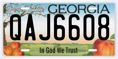 GA license plate QAJ6608