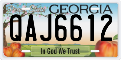 GA license plate QAJ6612