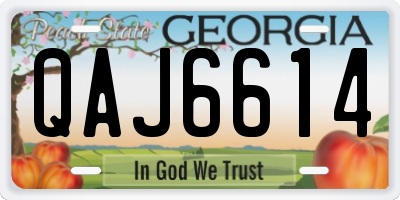 GA license plate QAJ6614
