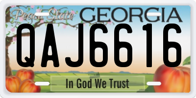 GA license plate QAJ6616