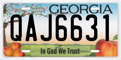 GA license plate QAJ6631