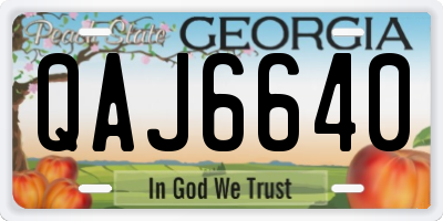 GA license plate QAJ6640