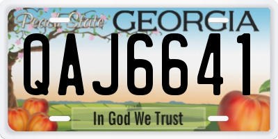 GA license plate QAJ6641