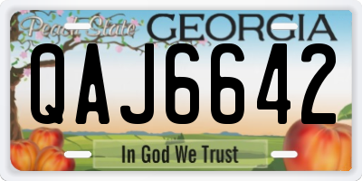 GA license plate QAJ6642