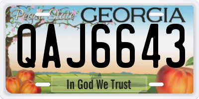 GA license plate QAJ6643