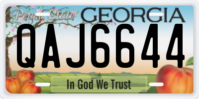 GA license plate QAJ6644
