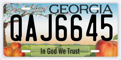 GA license plate QAJ6645