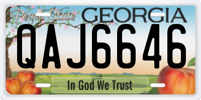 GA license plate QAJ6646