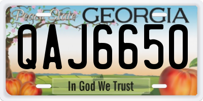 GA license plate QAJ6650