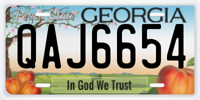 GA license plate QAJ6654