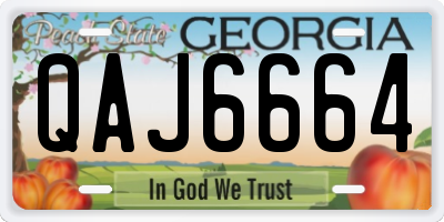 GA license plate QAJ6664