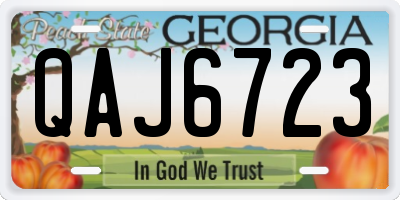 GA license plate QAJ6723