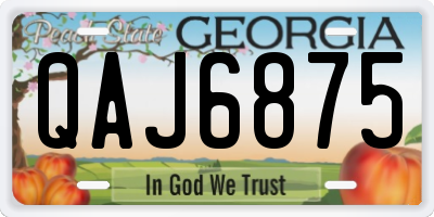 GA license plate QAJ6875