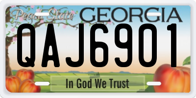 GA license plate QAJ6901
