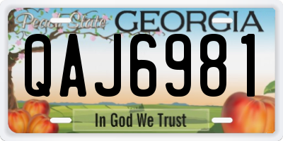 GA license plate QAJ6981
