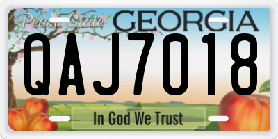 GA license plate QAJ7018