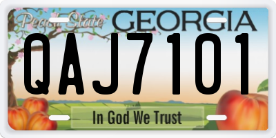 GA license plate QAJ7101