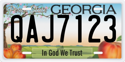 GA license plate QAJ7123