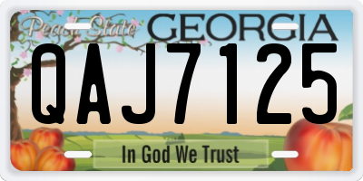 GA license plate QAJ7125