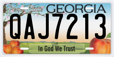 GA license plate QAJ7213