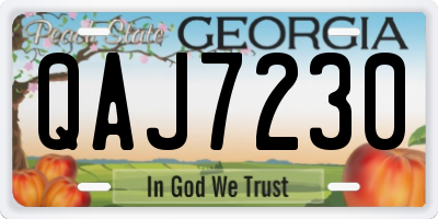GA license plate QAJ7230