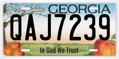 GA license plate QAJ7239