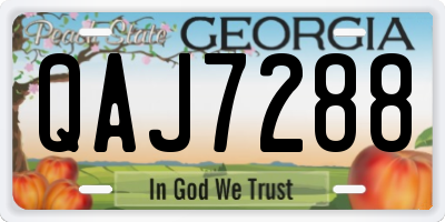 GA license plate QAJ7288